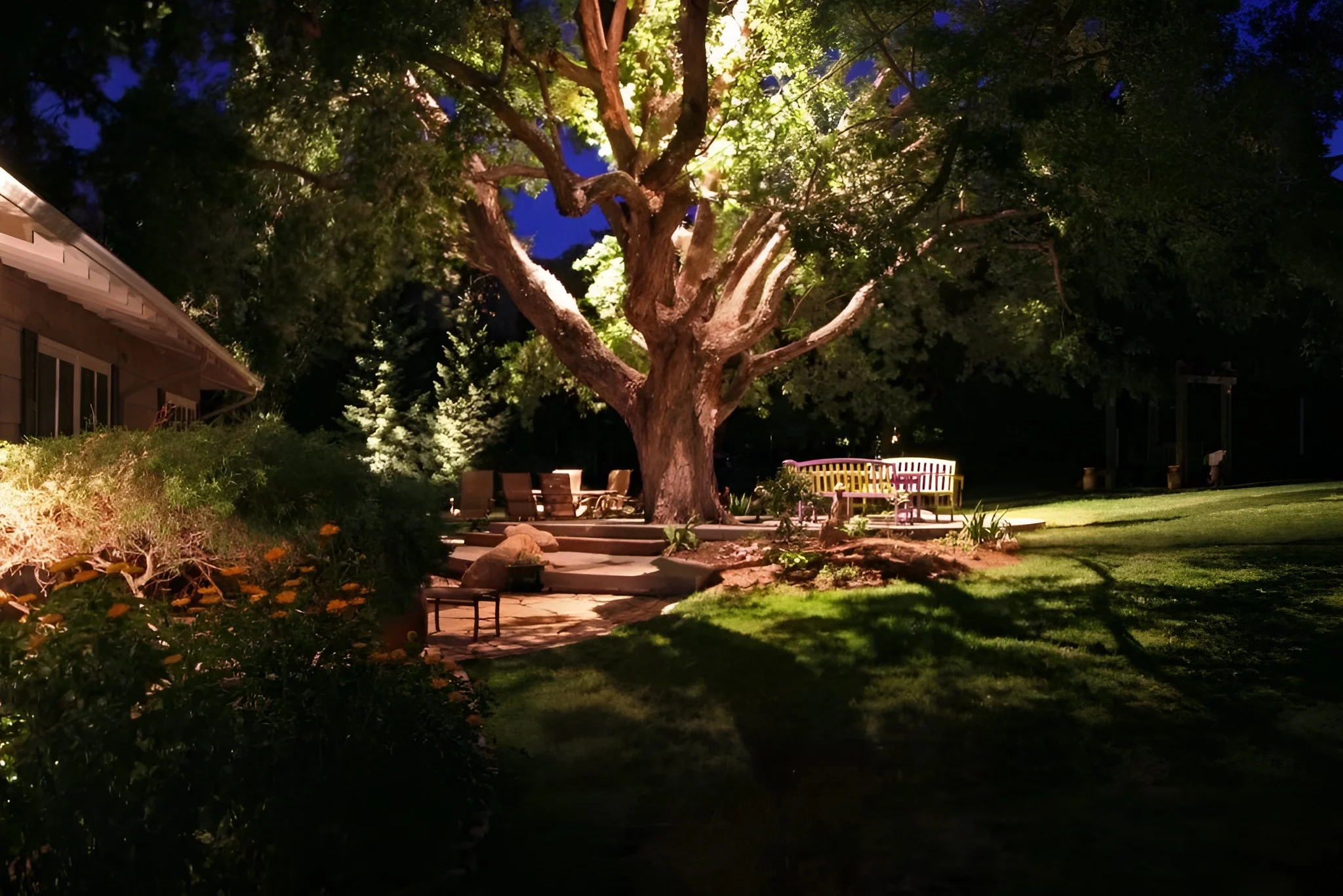 A big tree lit from below and within its canopy casts branch shadows on a lawn beside steps up to a lit patio.