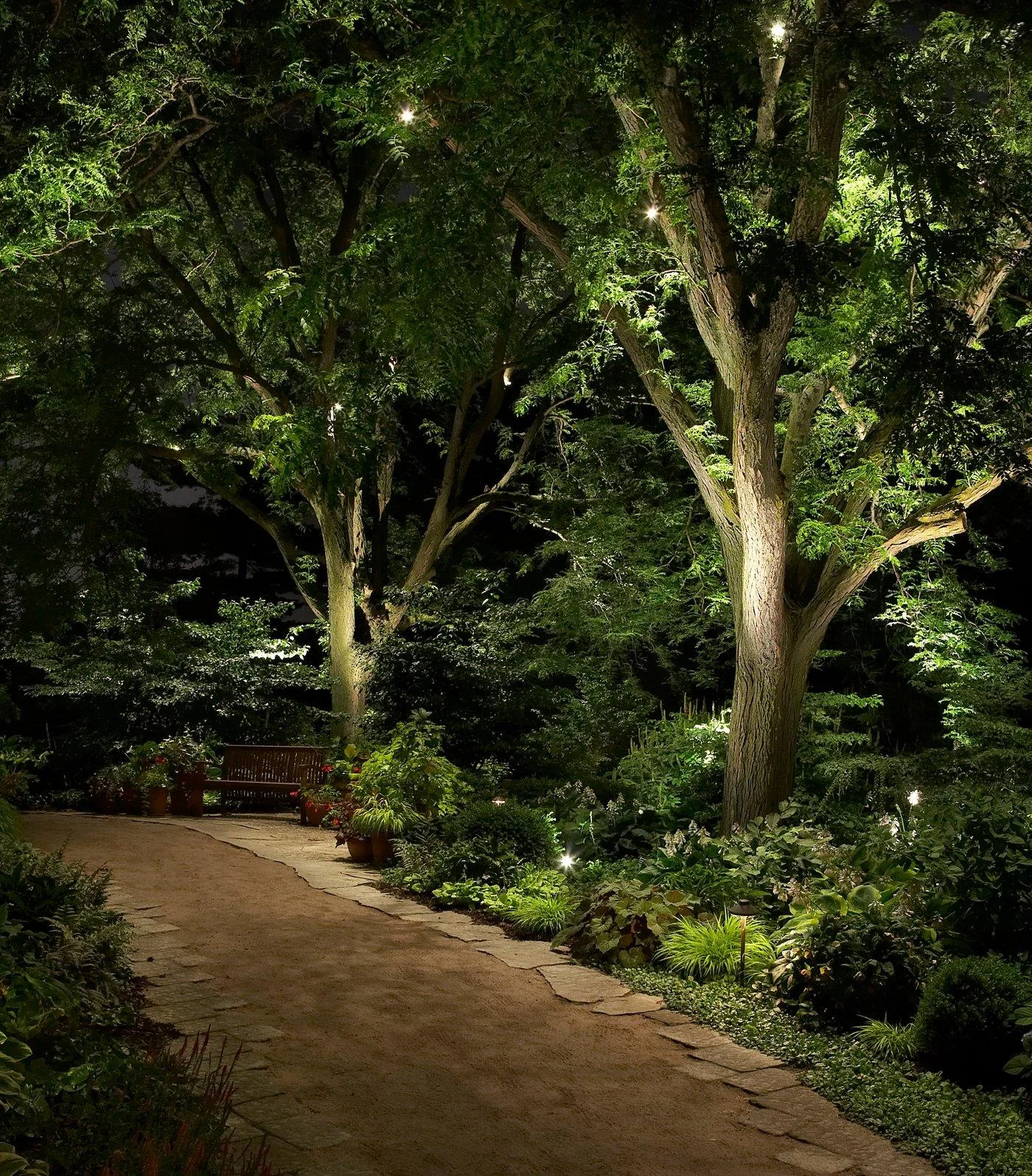 Mature trees are uplit from their bases and moonlit from the canopy above a stone-edged garden path.
